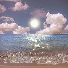 Ảnh đại diện người dùng Phạm Quỳnh